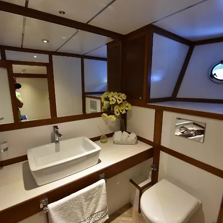 Ada Dreams / Boat Botel