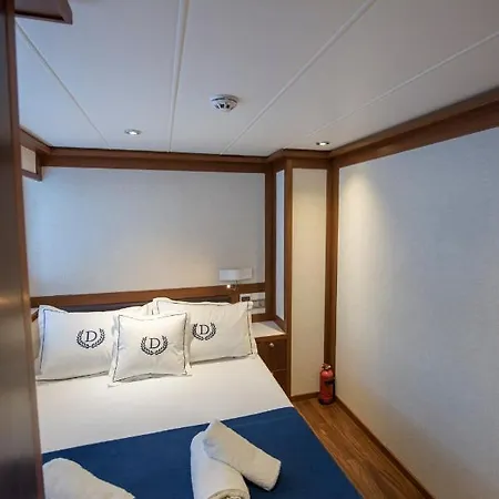 Ada Dreams / Boat